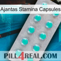 Ajantas Stamina Capsules 28